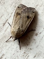 Hausmutter_23-07-20 13-12-09 6823